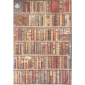 Бумага рисовая для декупажа Stamperia DFSA4754 "Полки с книгами", А4